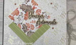 Album photos Douceur automnale