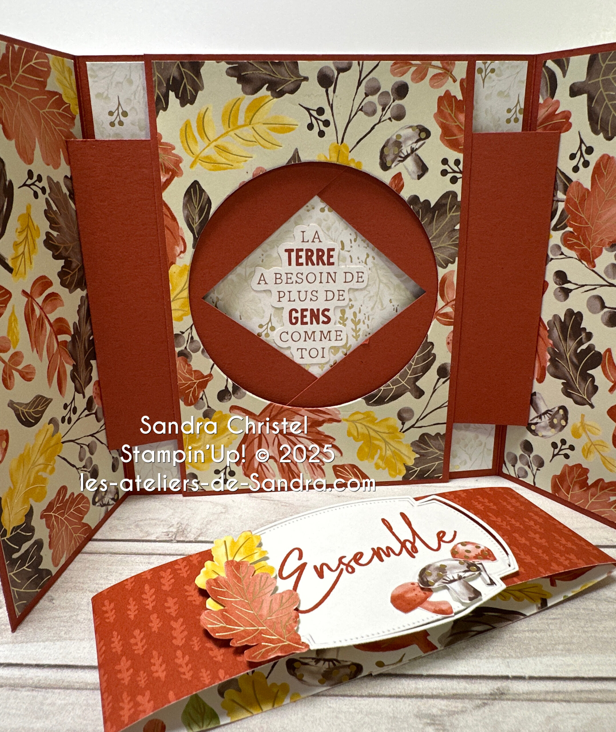 Carte pop up pour toutes les occasions