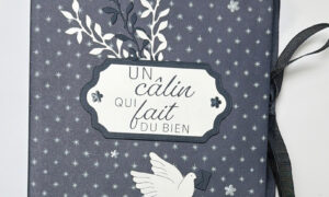 Mini album Un Câlin qui fait du bien