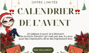 Calendrier de l'avent des ateliers de Sandra