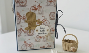 Mini Album Salon Septembre et Octobre  Version au calme de la rive