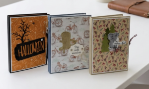 Mini Album Salon Septembre et Octobre